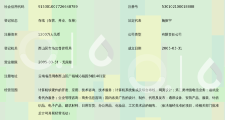 昆明凌宇志達(dá)網(wǎng)絡(luò)科技 專業(yè)信息咨詢服務(wù)驅(qū)動(dòng)數(shù)字化轉(zhuǎn)型